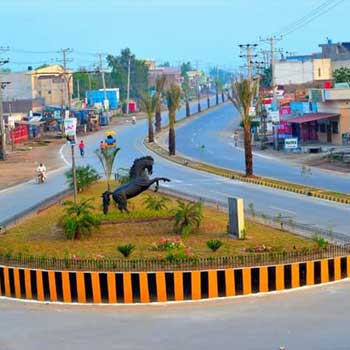 Phalia